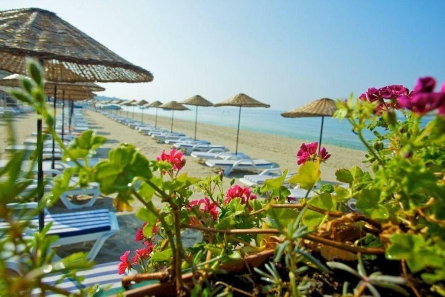 Diamond City Resort Hotel Buyukcekmece Exteriér fotografie